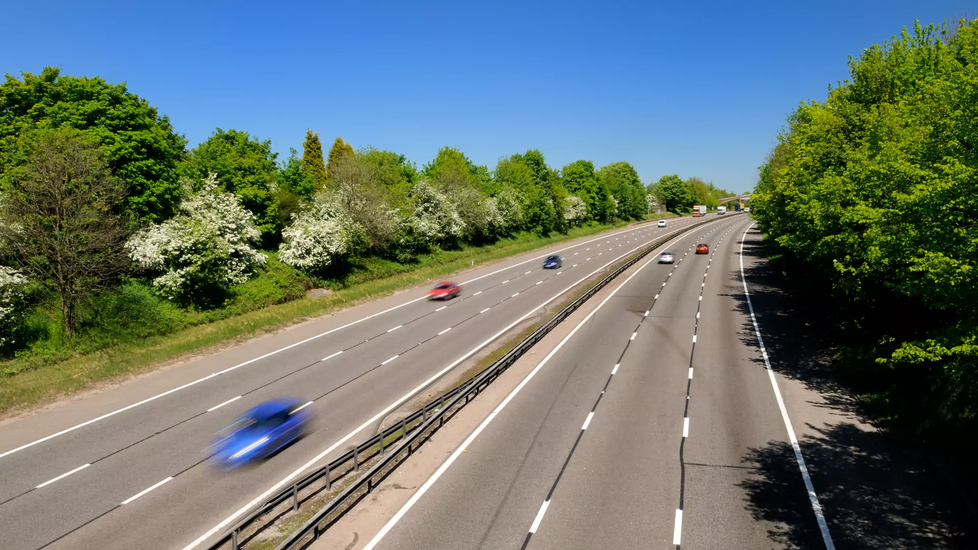 Agency service - Importers and Dealers