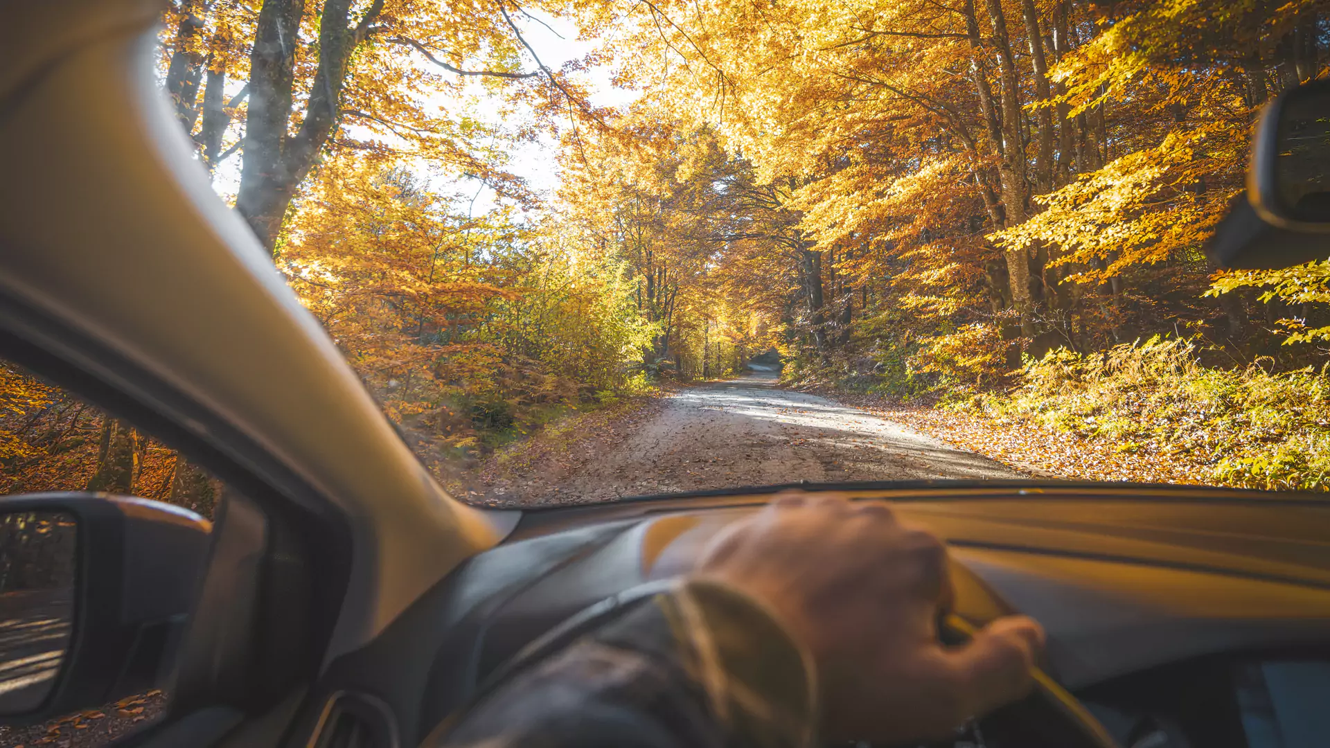 Agency service - Leasing and Car Fleet Management