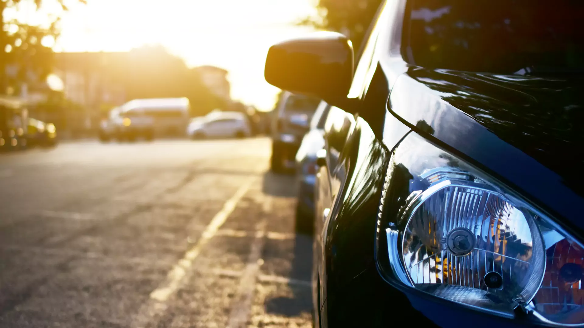 Importers and dealers