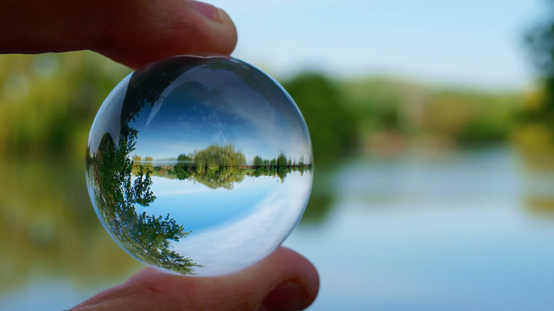 Third Party Administrator